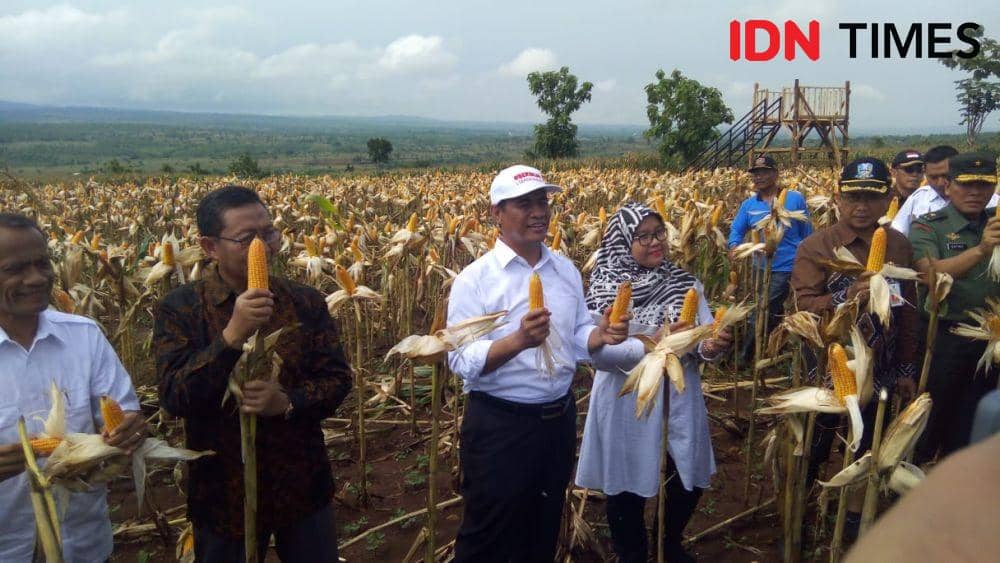 IDN Times/Imron