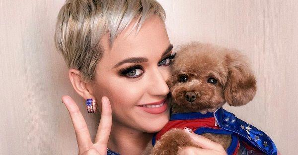 7 Potret Kemesraan Katy Perry dan Orlando Bloom, So Cute!