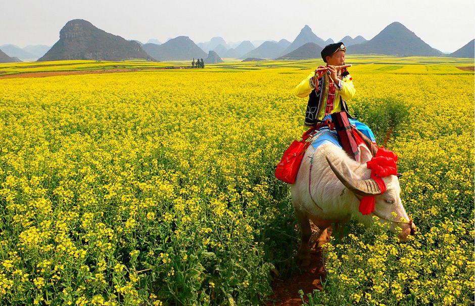 Cantiknya 7 Wisata Alam di Yunnan Ini Bisa Bikin Kamu Terpesona Lho!