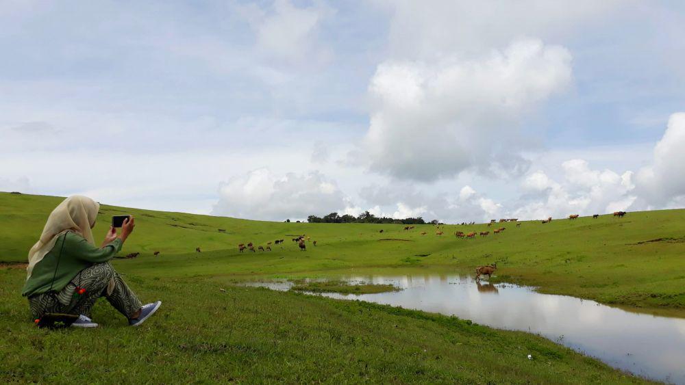 11 Fakta Fulan Fehan, Padang Rumput Indah di Ujung Perbatasan NTT