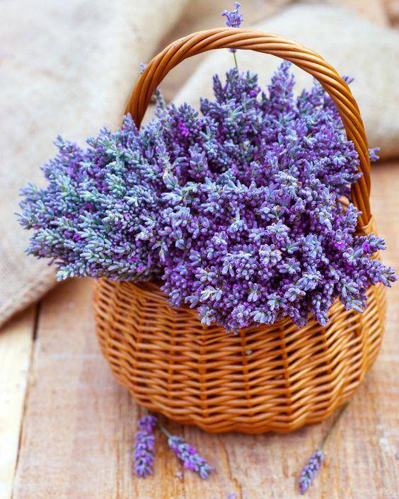 pinterest.com