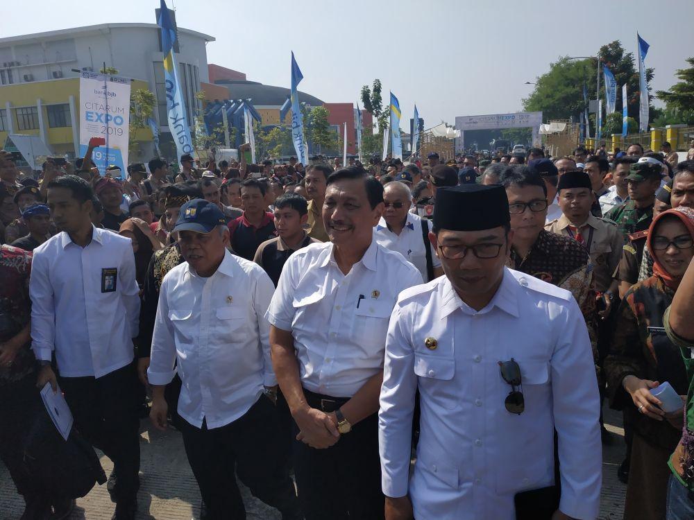 Luhut Akui Miliki Konsesi Lahan 6 Ribu Hektare