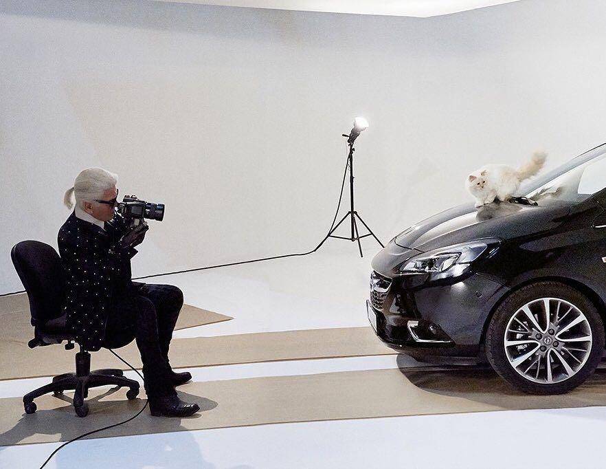Karl Lagerfeld (instagram.com/choupettesdiary)