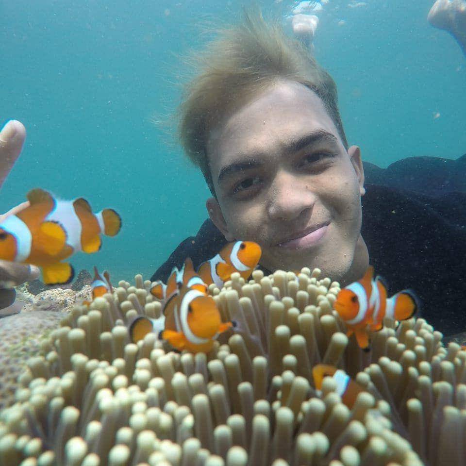 instagram.com/pahawang.wisata