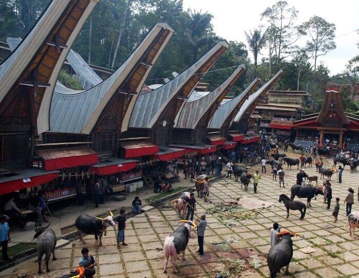 Rencana Penerapan Wisata Halal di Toraja Memicu Polemik