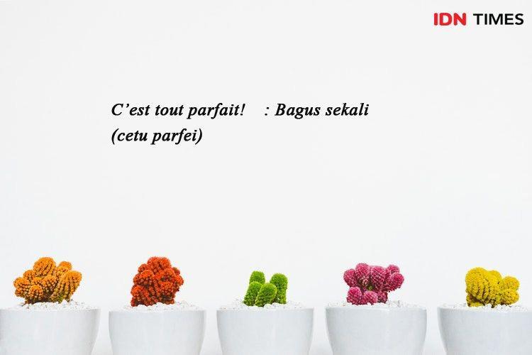 10 Kosakata Dasar Bahasa Perancis Biar Kamu Terlihat Keren