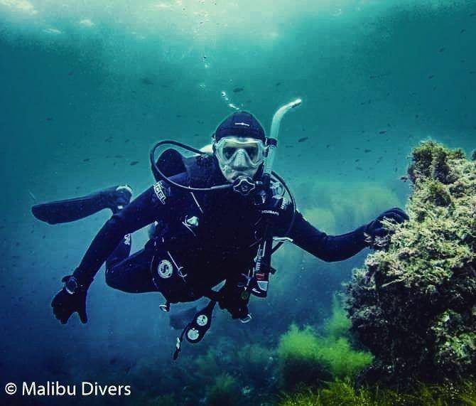 instagram.com/malibudivers