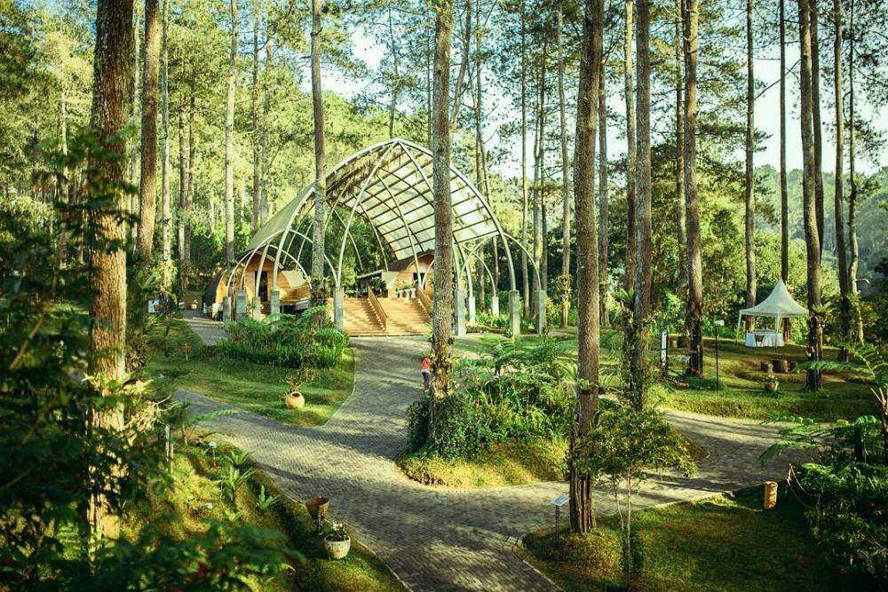 instagram.com/orchidforestcikole