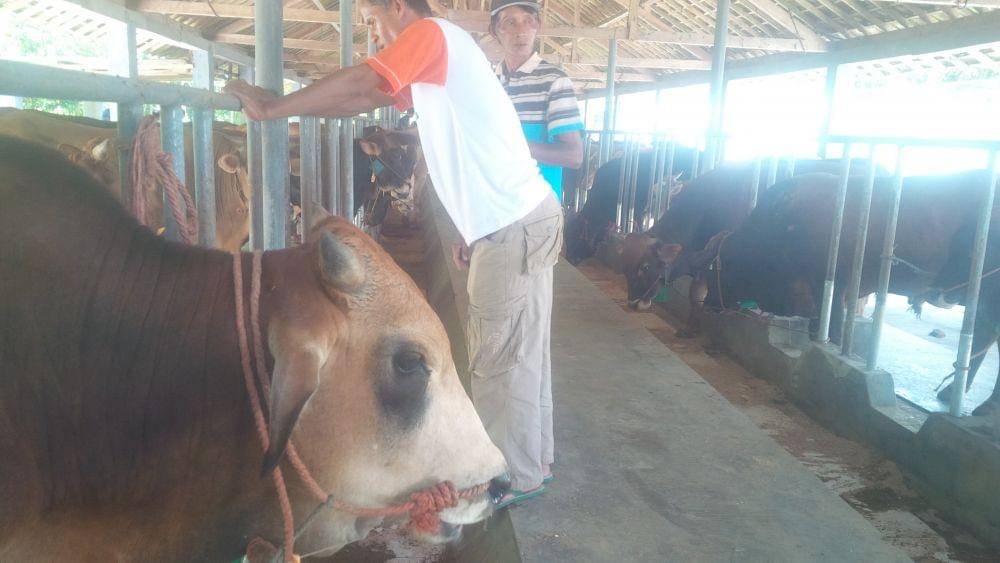 IDN Times/Mohamad Ulil Albab