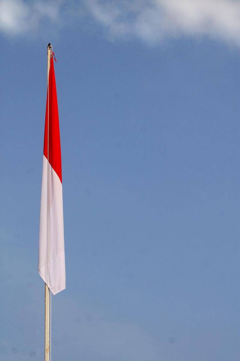 Pixabay/lilisnoviani