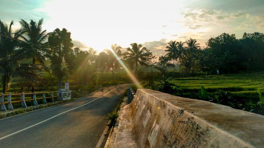 shutterstock/Andrias Nanda