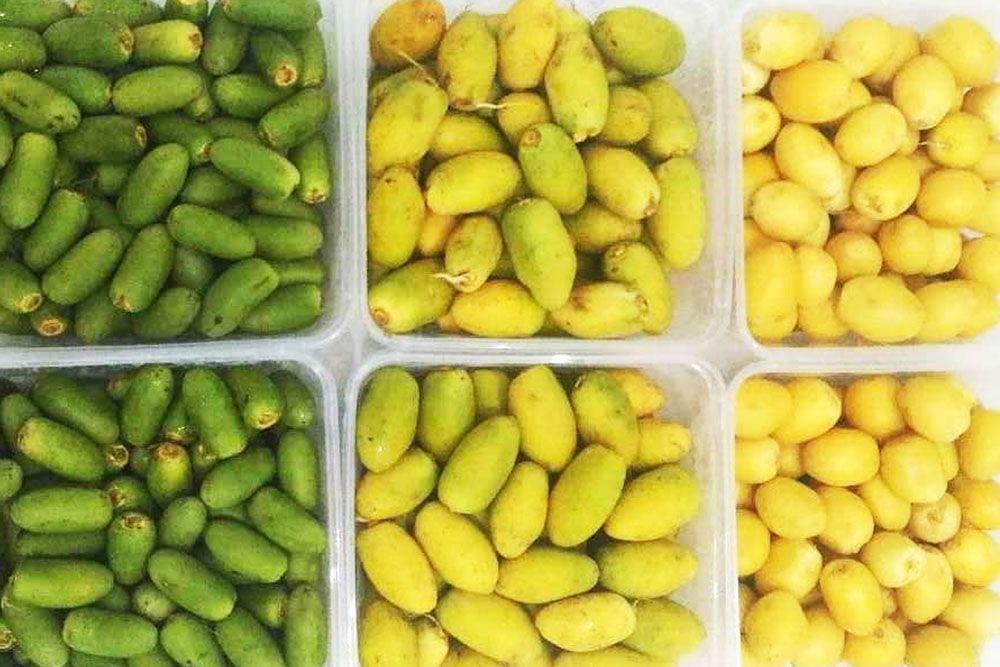 8 Manfaat Kurma Muda untuk Kesehatan, Apa Benar Bikin Cepat Hamil?