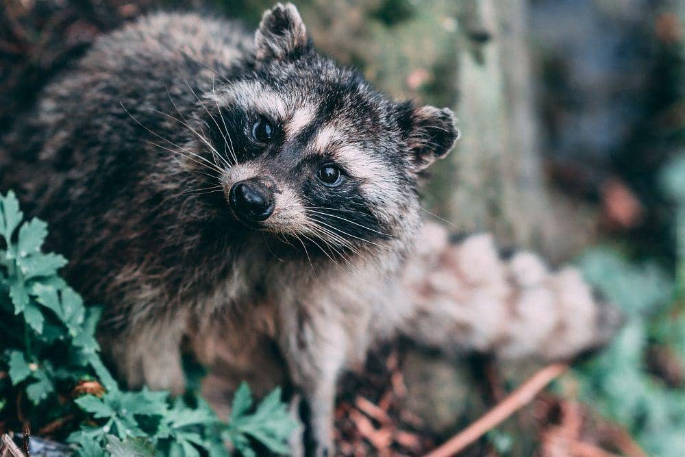 unsplash.com/graphem