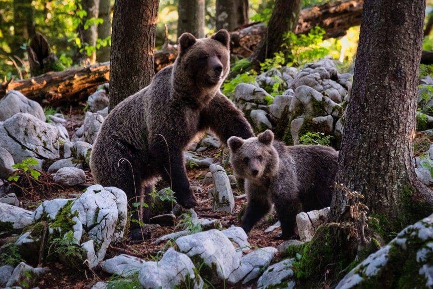 unsplash.com/marcosecchi