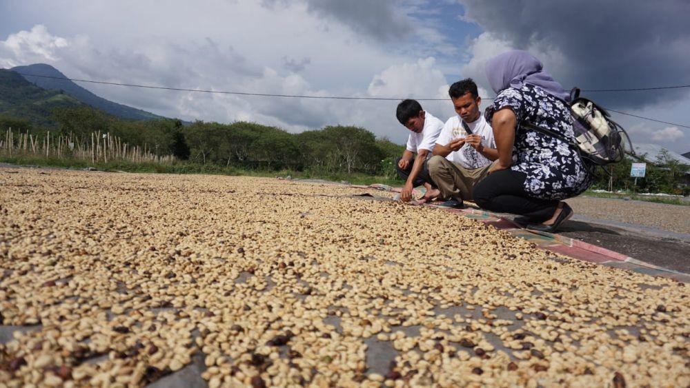 Kopi Mandailing Dipamerkan di Specialty Coffee Expo Amerika Serikat