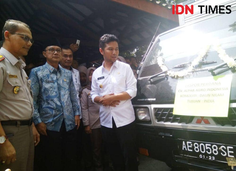 IDN Times/Nofika Dian Nugroho
