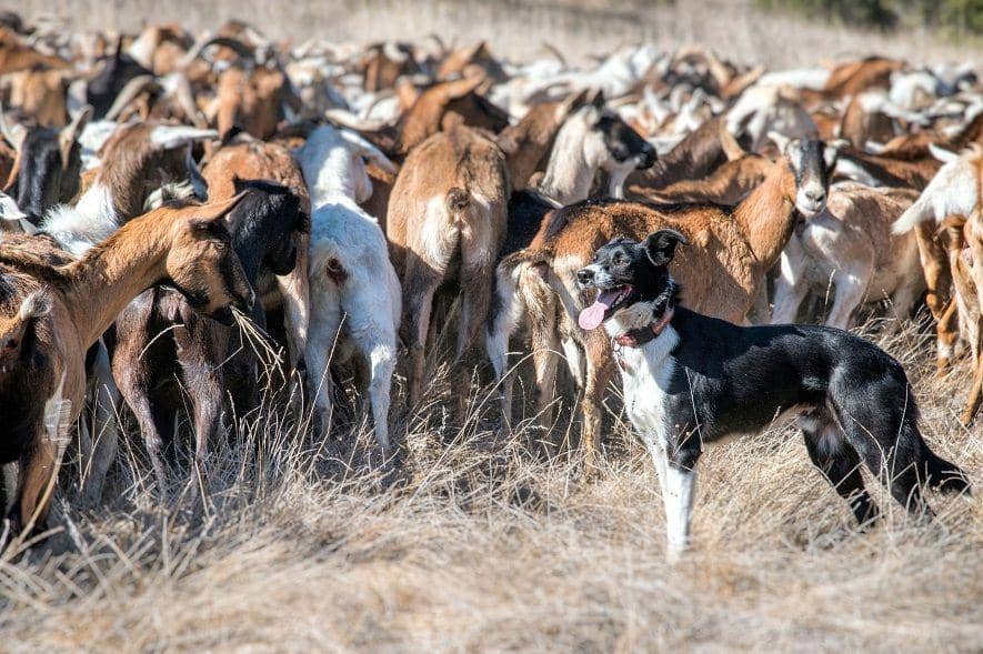 unsplash.com/wmilliot