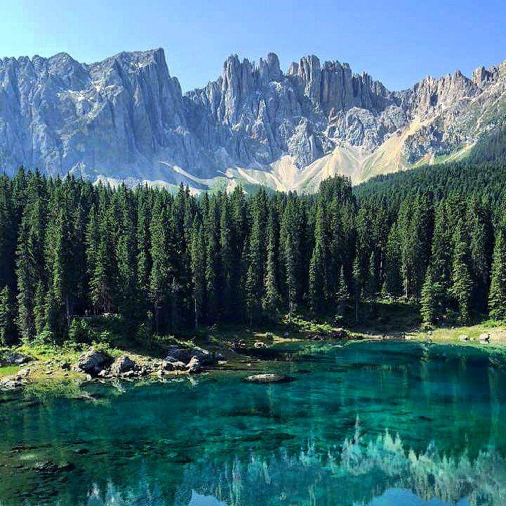 trover.com