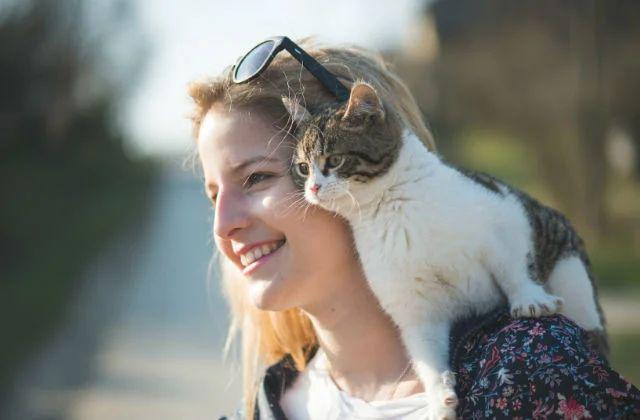 17 Mitos Tentang Kucing yang Masih Kita Percaya