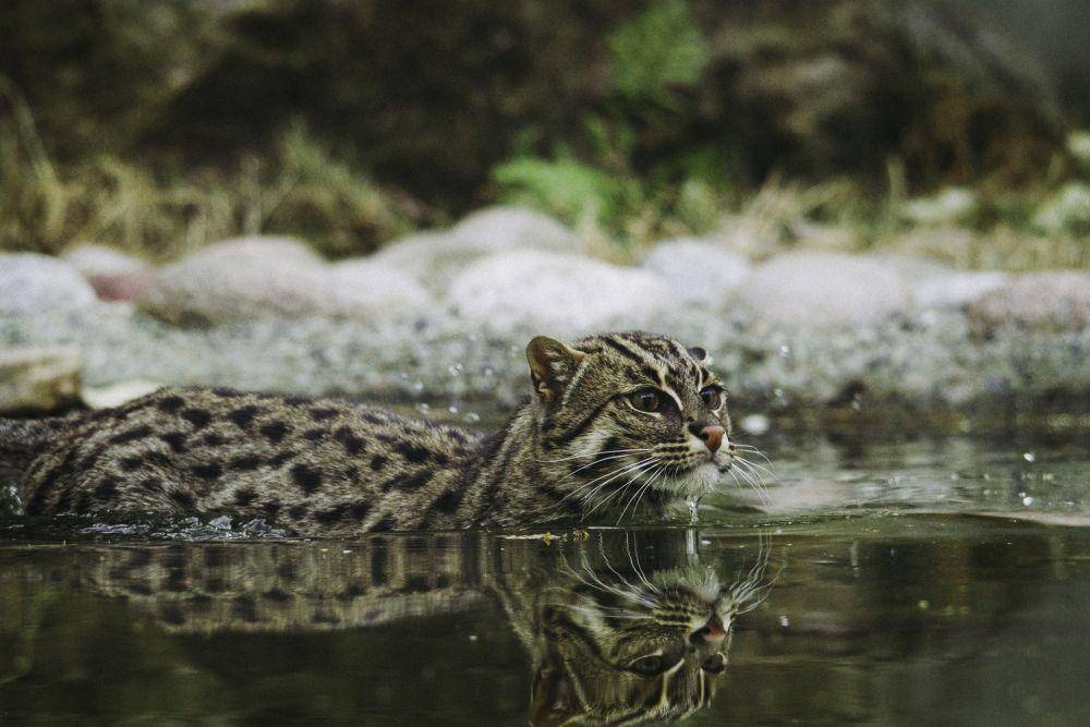 unsplash.com/Frida Bredesen