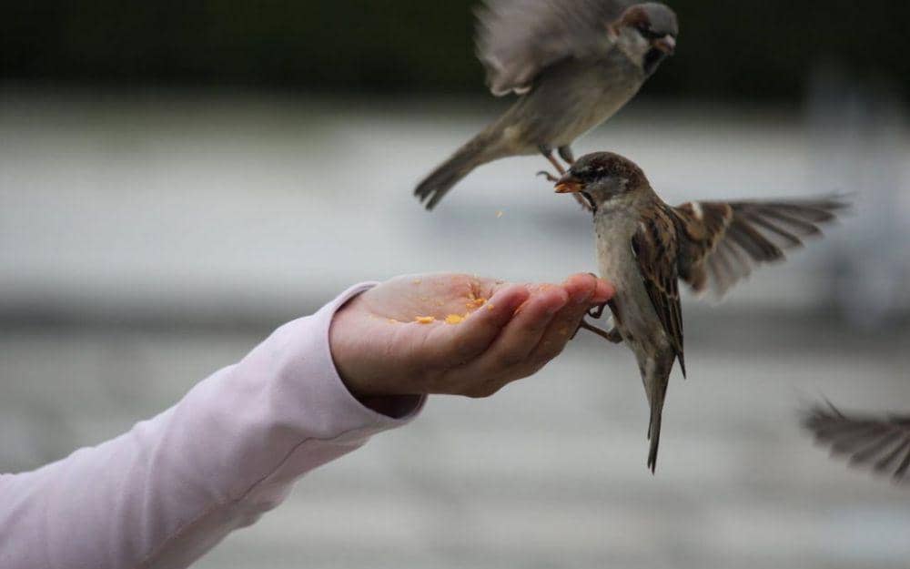 10 Hal Tak Terduga yang Bisa Jadi Pintu Rezekimu Makin Terbuka Lebar