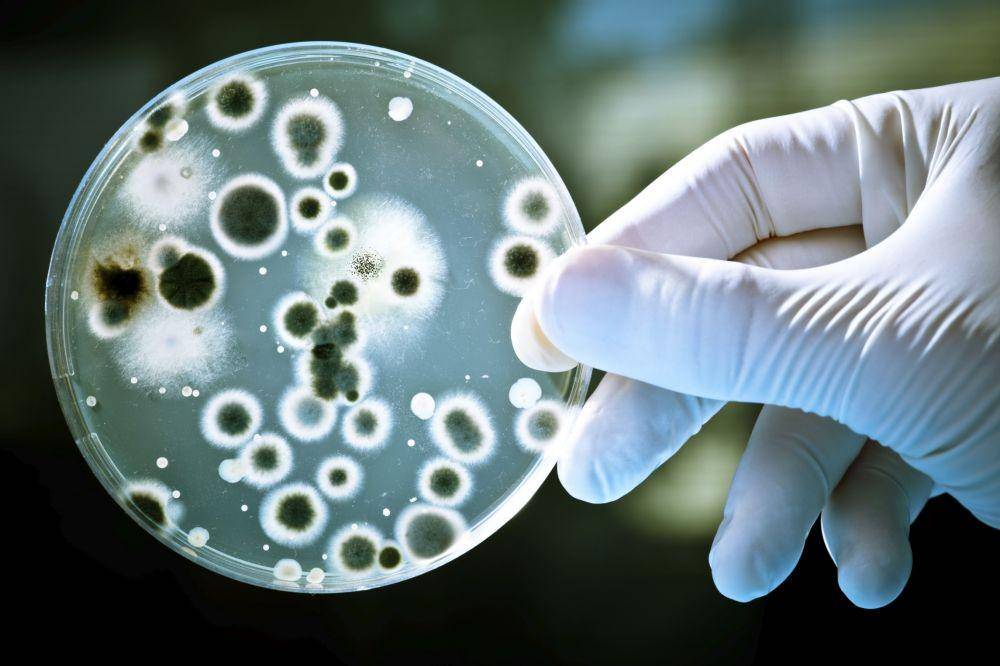 science.howstuffworks.com