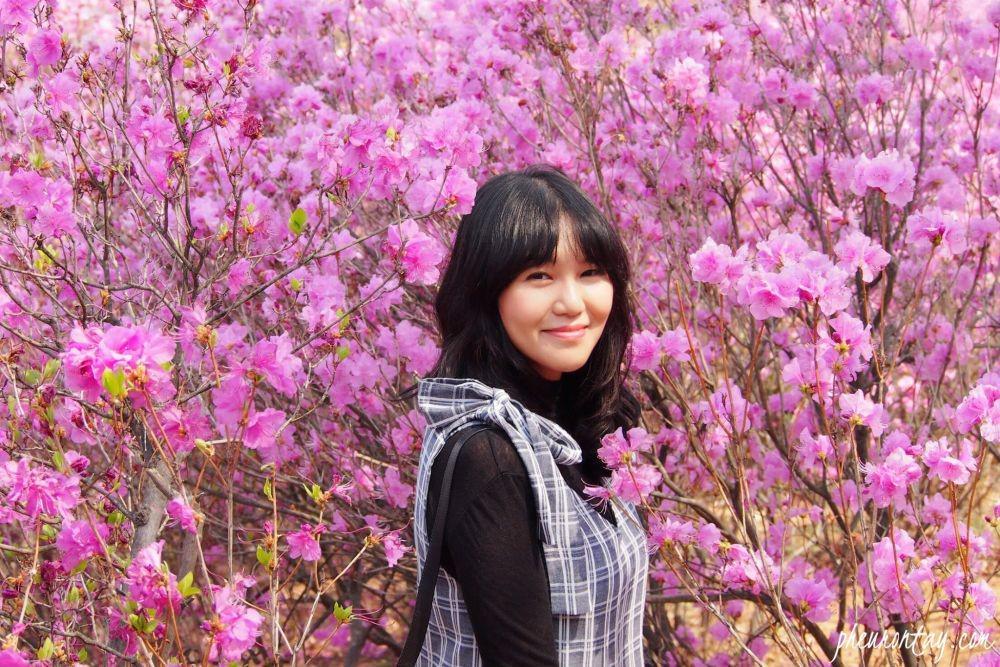 10 Jenis Bunga yang Mekar Selama Musim Semi di Jepang