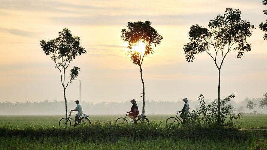 4 Kontribusi untuk Indonesia Lebih Baik, Mulailah dari Diri Sendiri