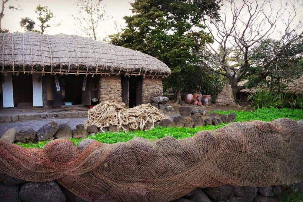 visitjeju.net