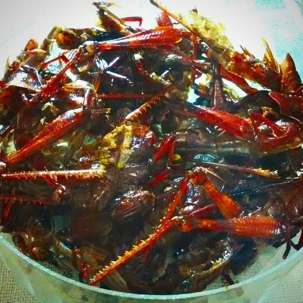 instagram.com/konanxiao