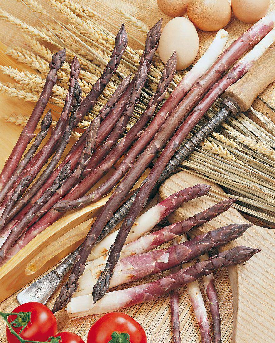 seedsofitaly.com