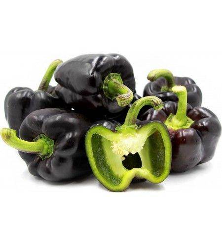 seeds-gallery.shop