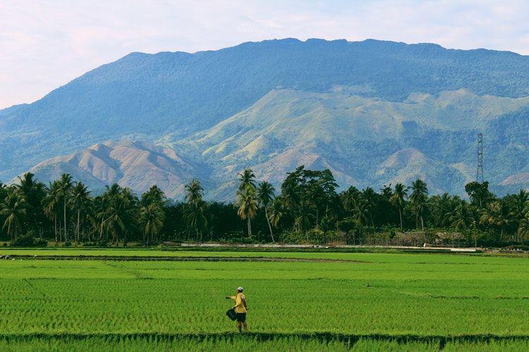 5 Cara Memutus Kutukan Sumber Daya Alam yang Terjadi di Indonesia
