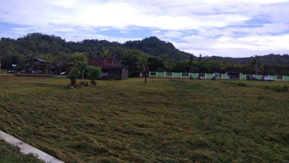 IDN Times/Daruwaskita