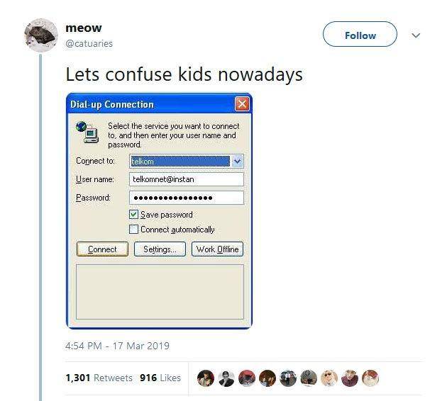 Twitter.com/catuaries