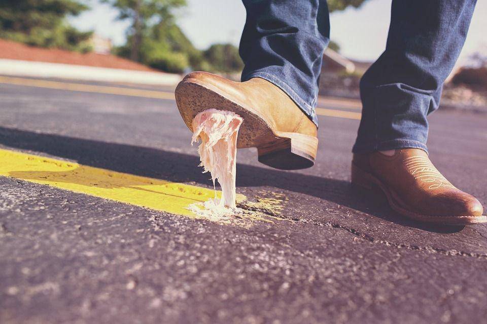 pixabay/RyanMcGuire