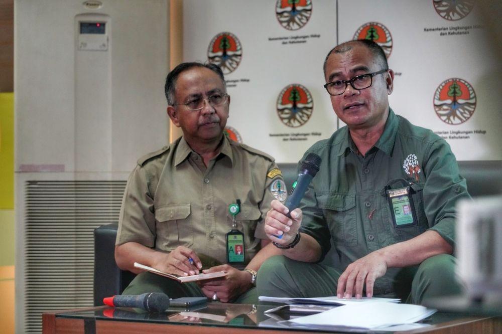 Atasi Bencana Banjir Sentani Papua, KLHK Ambil Langkah Strategis