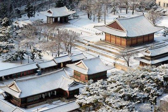 5 Universitas Terbaik di Korea Selatan, Ada Kampusnya Park Jin Young