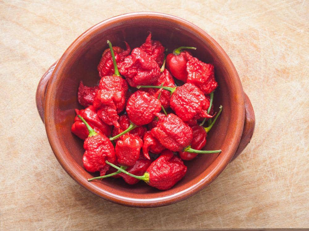 Suka Pedas? 5 Menu dari Carolina Reaper Ini Gak Boleh Dilewati
