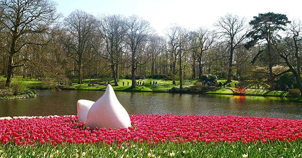5 Fakta Pesona Keukenhof, Taman Bunga Tulip Terbesar di Dunia
