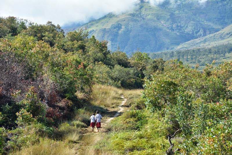Pekerjaan yang Perlu Dilakukan Pemerintah dalam Memajukan Pelosok