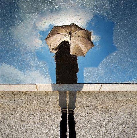 Pixabay.com/Free-Photos