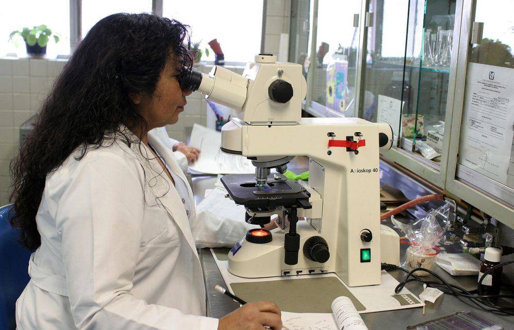 ilustrasi diagnosis balantidiasis di laboratorium (pixabay.com/ernestoeslava)