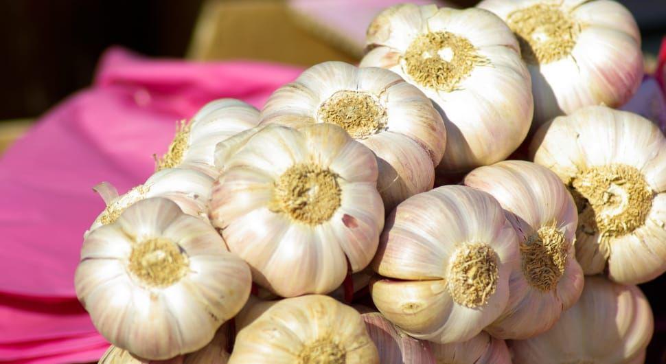 Tak Suka Bau Bawang Putih? Justru Itu Sumber Manfaatnya bagi Kesehatan