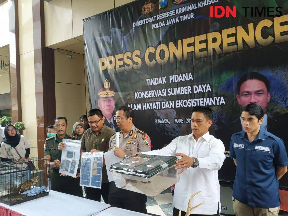 IDN Times/Fitria Madia
