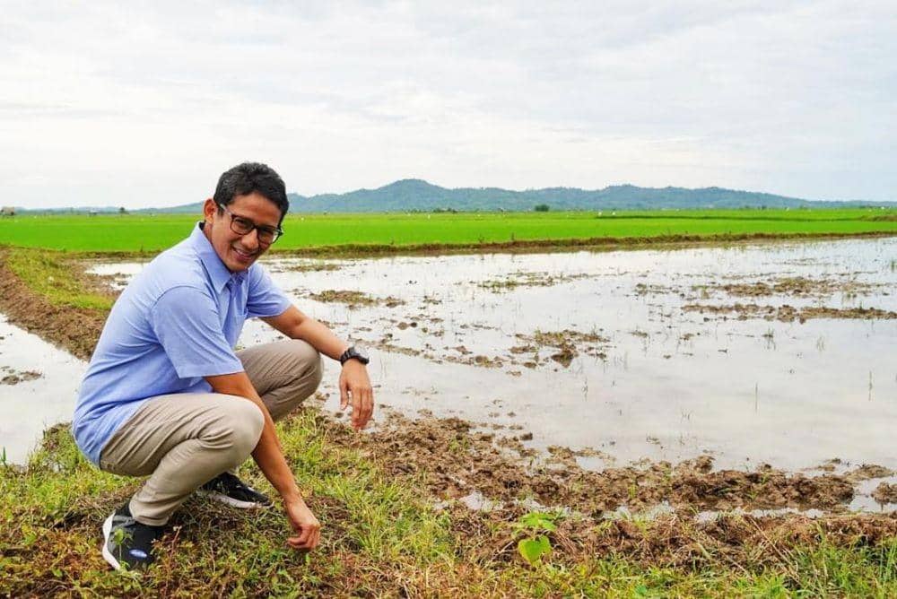instagram.com/sandiuno