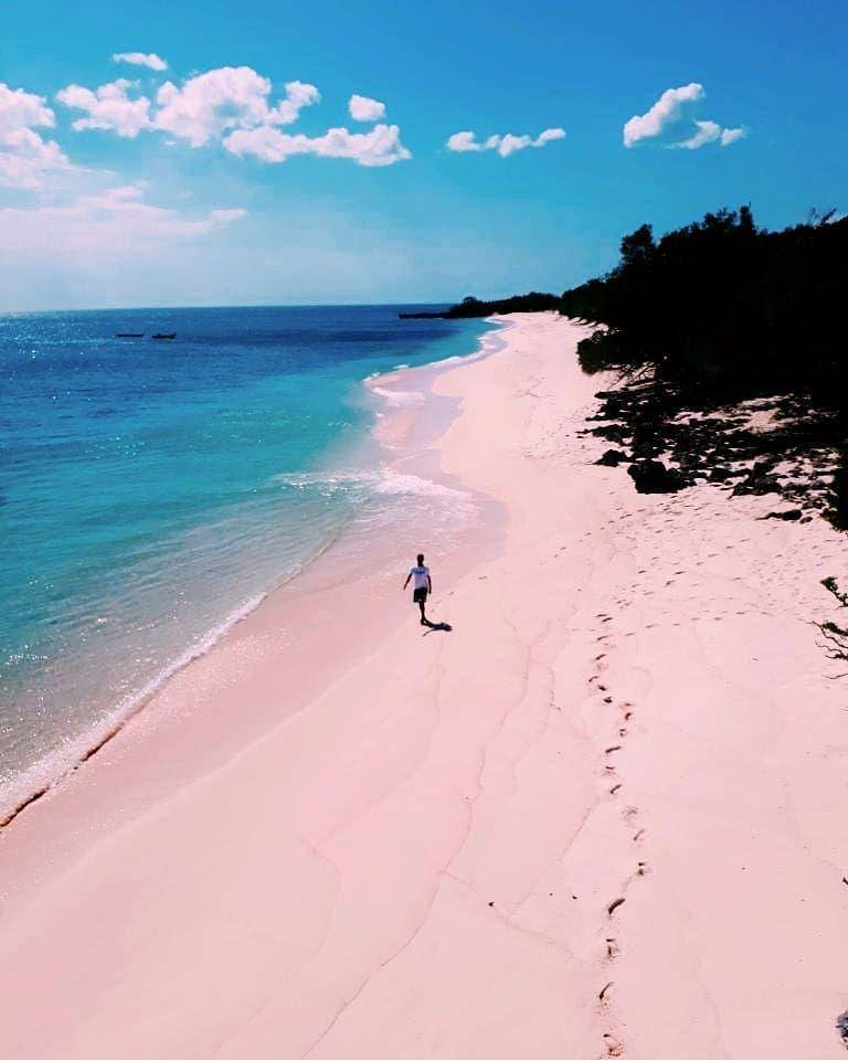 instagram.com/traveler_ntt