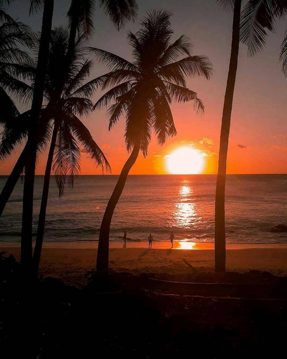 instagram.com/indopejalan.co