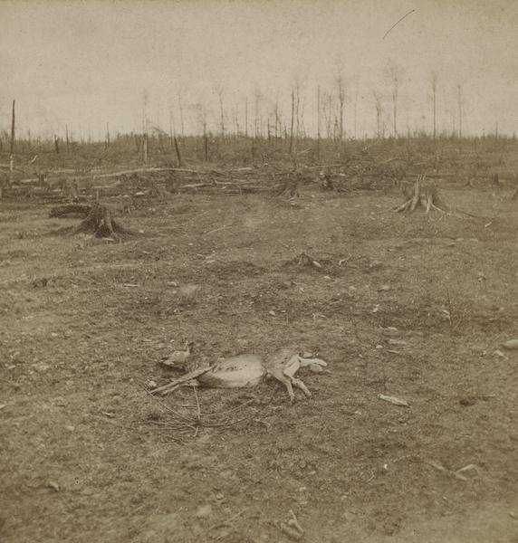 wisconsinhistory.org