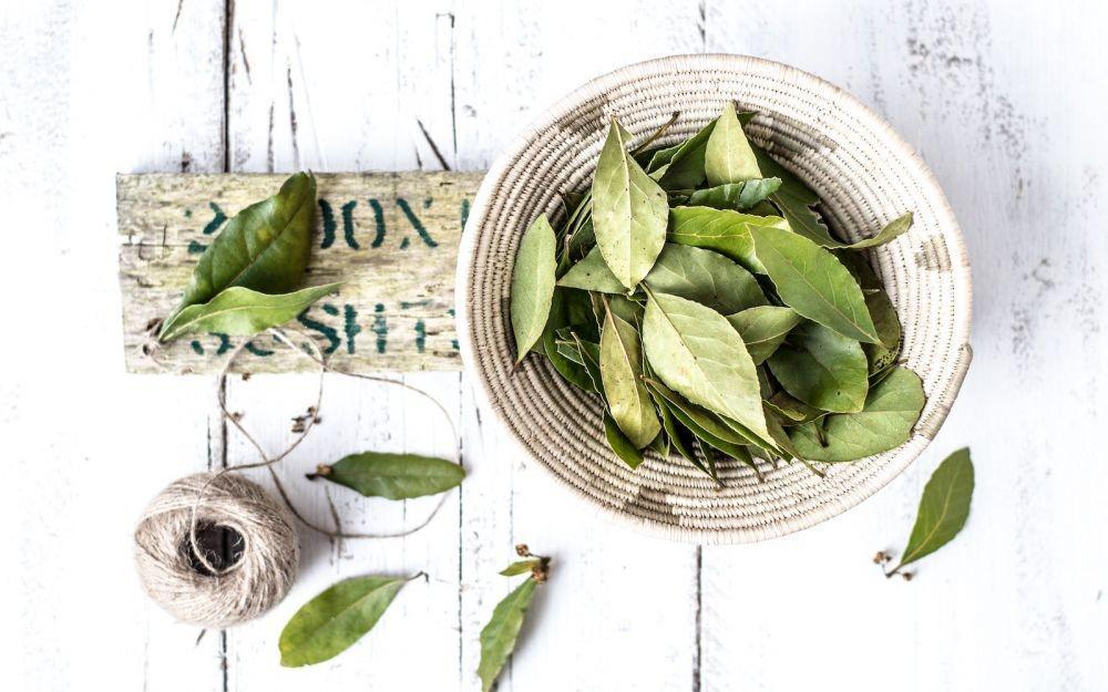 5 Tumbuhan Herbal Ini Bisa Mengatur Hormonmu dengan Baik